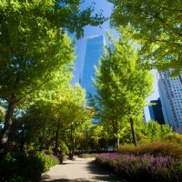 Yeouido